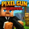 Pixel Gun Survival