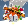 Snow Rider 3d Snow Rider 3d